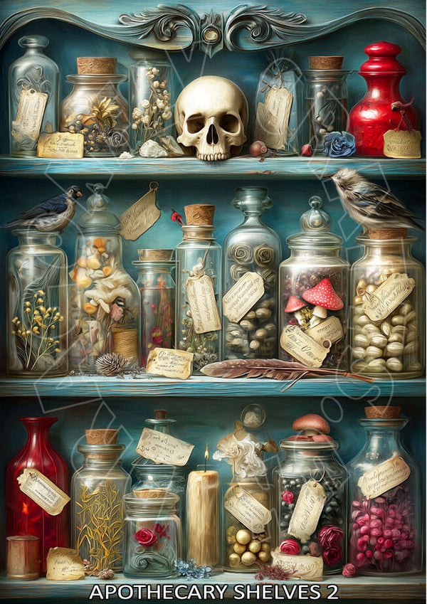 Apothecary shelves 2 Rice Paper