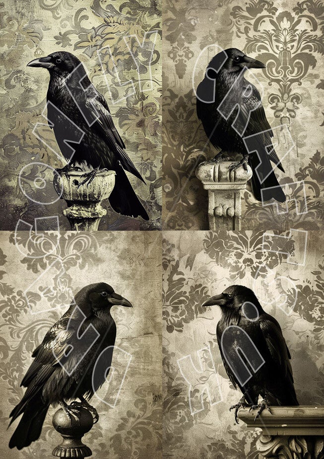 Crows Multi Rice Paper