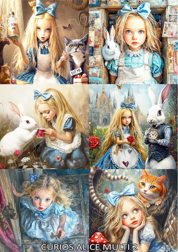 Alice Multi 2 Rice Paper