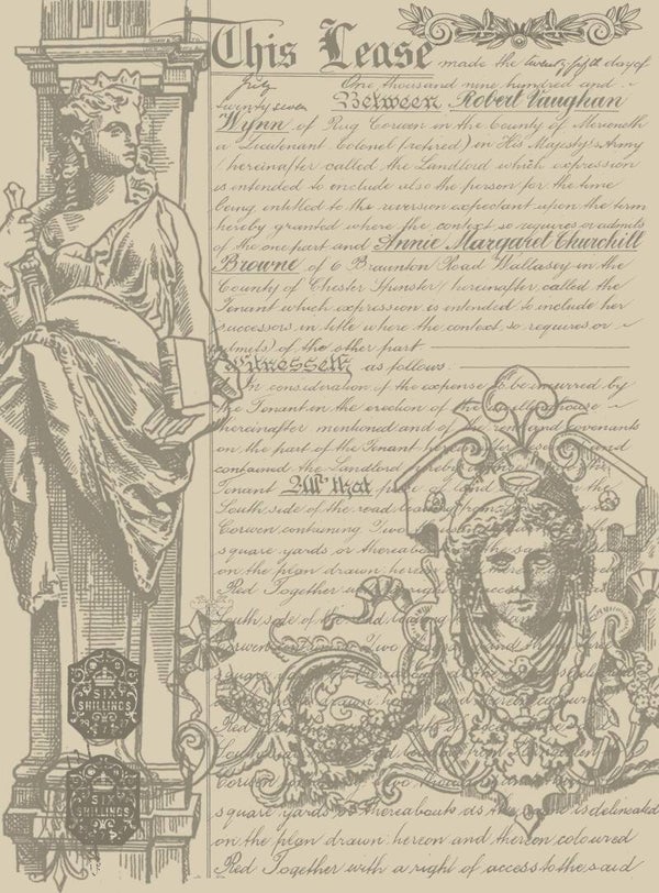 Dragonfly Deeds Background Rice Paper