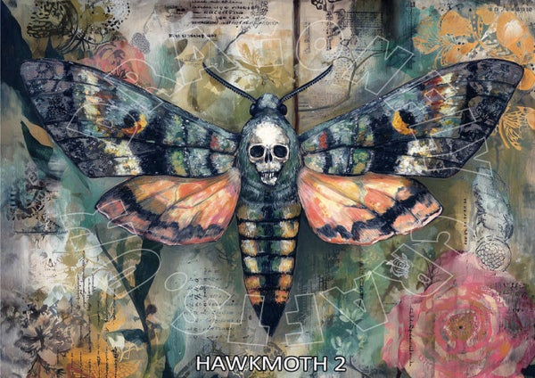 Hawk Moth 2 Rice Paper