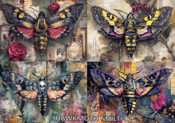 Hawk Moth Multi Rice Paper