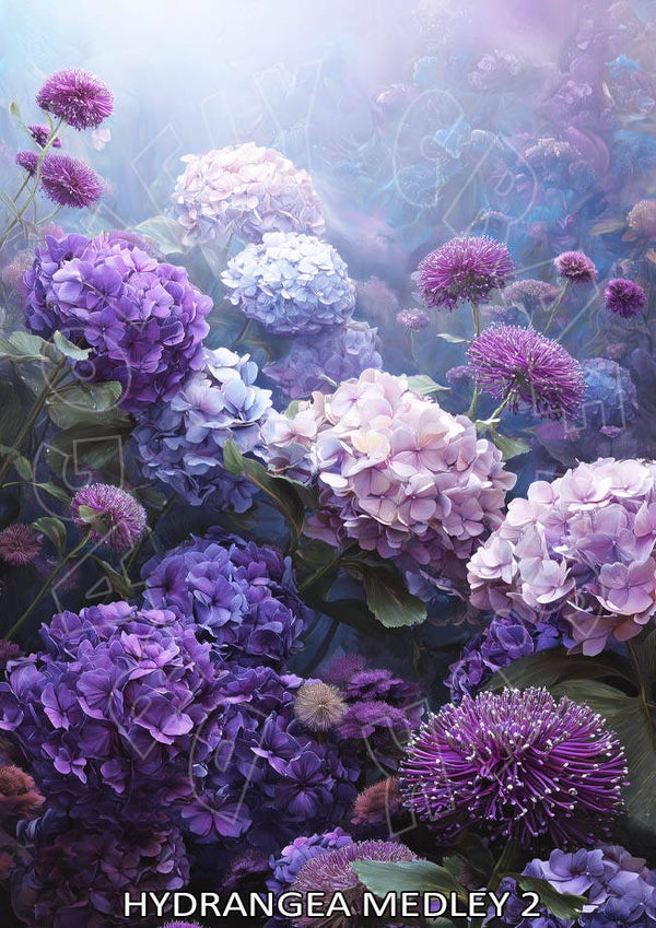 Hydrangea Medley 2 Rice Paper