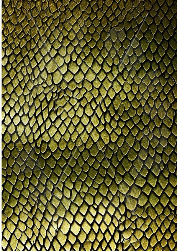 Snake background Rice Paper