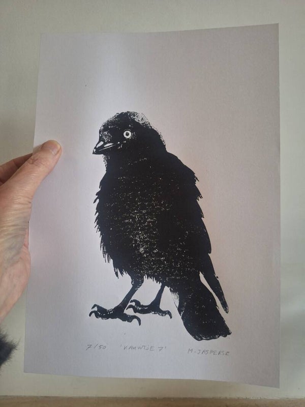 Linoprint Kauwtje