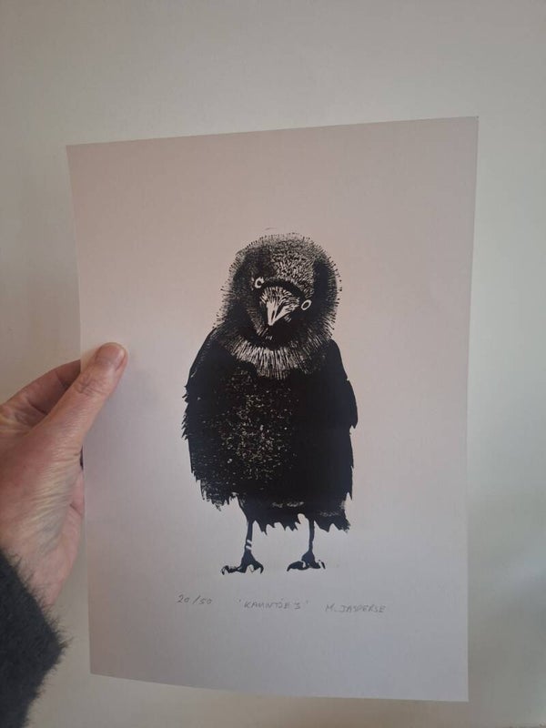 Linoprint Kauwtje