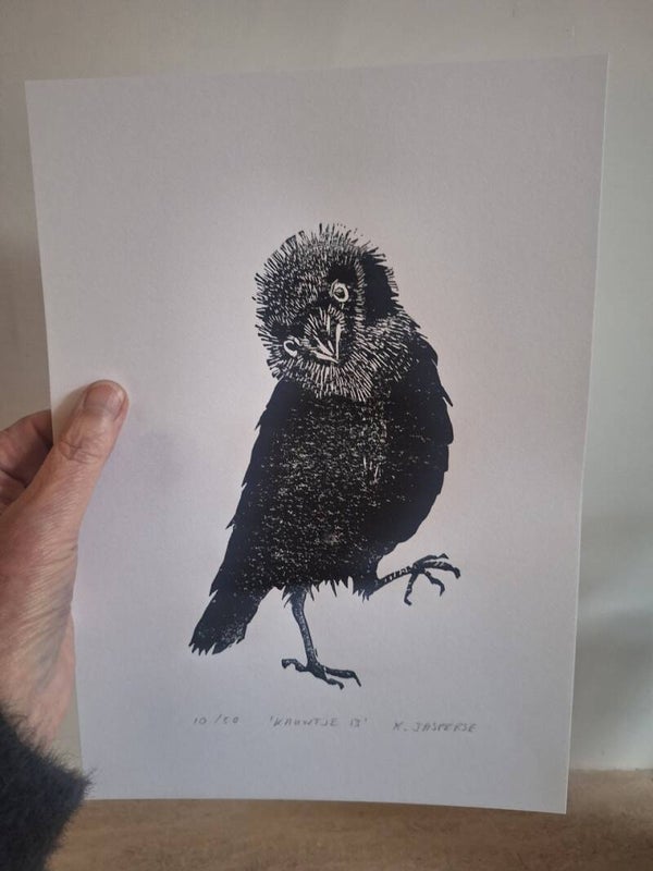 Linoprint Kauwtje