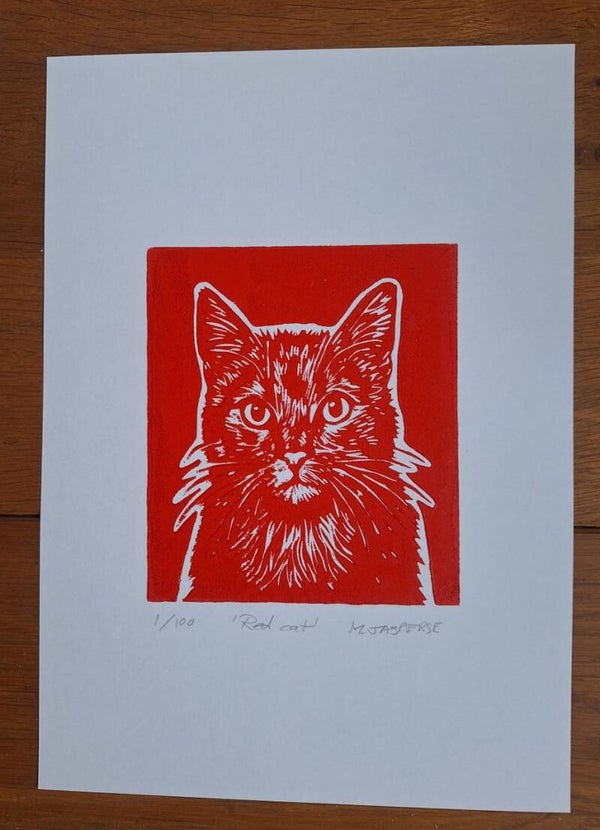 Red cat/ rode kater