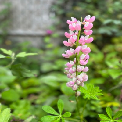 6864adab-fe44-4b0b-93ad-c918f6401ba1-1.jpeg