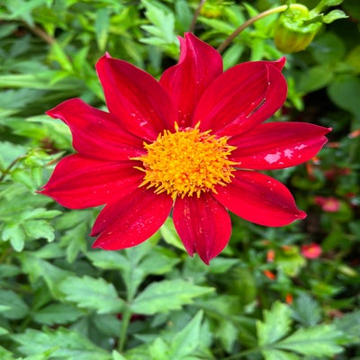 5fa6390e-0892-4dfa-be79-88384bd1152d-1.jpeg
