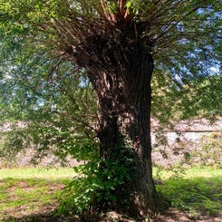 a257c287-f053-4af2-a7de-11252929eb69.jpeg