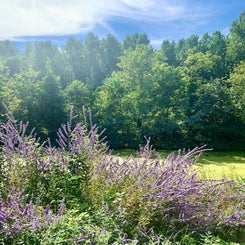d08c233b-c1c7-44a3-9b93-ab95133e3661.jpeg