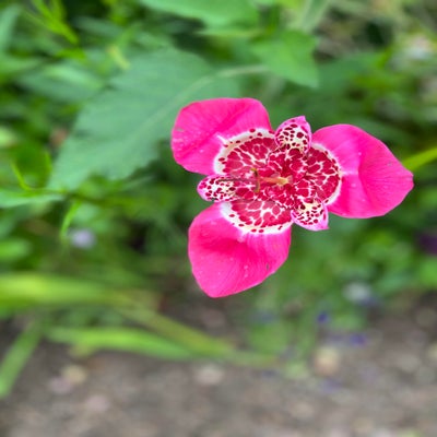 d2cd94bd-4081-4405-899a-546c1317a12e-1.jpeg