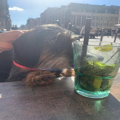 9755ca24-03e0-4198-95ba-f090985b3548.jpeg