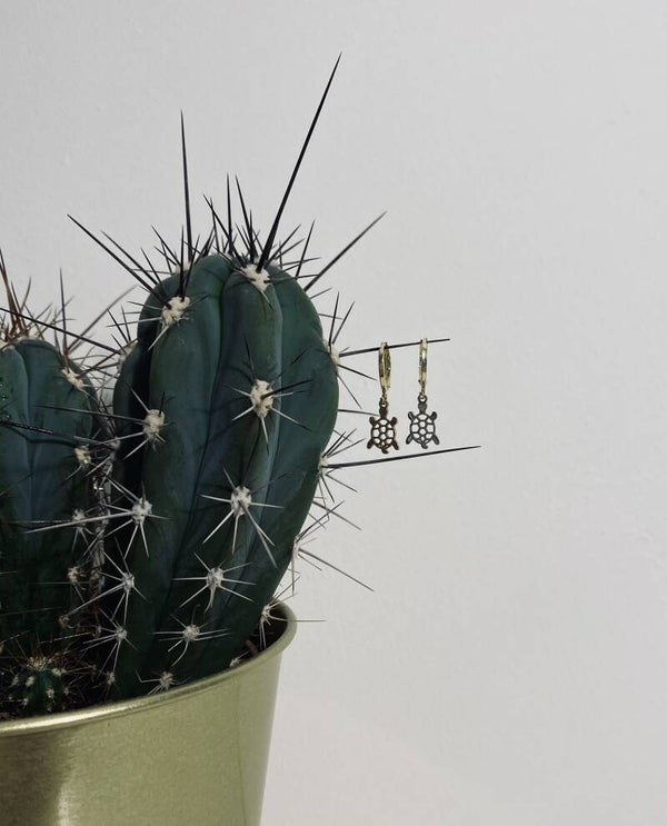 Earrings Turtles Gold