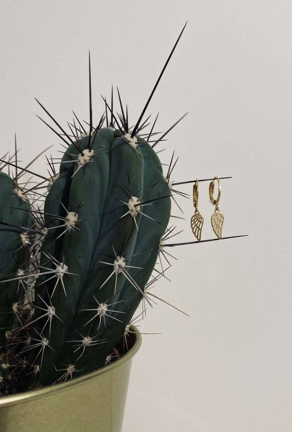 Earrings Wings Gold