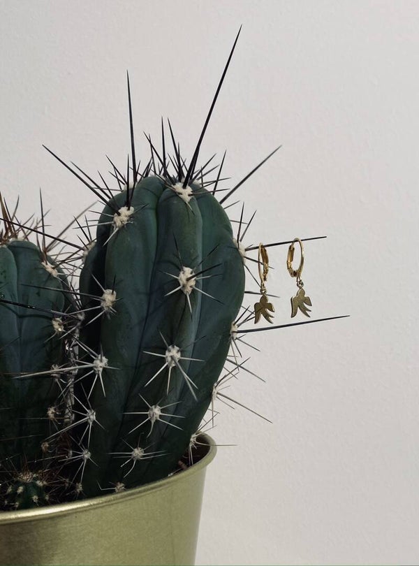 Earrings Swallows Gold