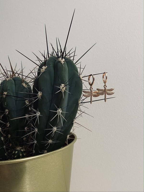 Earrings Dragonflies Rose-gold