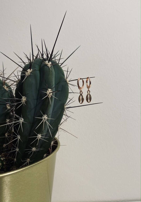 Earrings Seashells Rose-gold