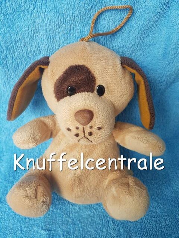 Paul Import GmbH hond met vlek om oog en lusje