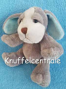 Zeeman hond knuffel grijs met blauwe binnenkant oren