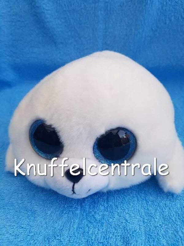 TY zeehond wit 2017 Icy big eyes 18 cm * Nieuw