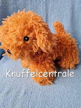 Zeeman hond pluizig bruin