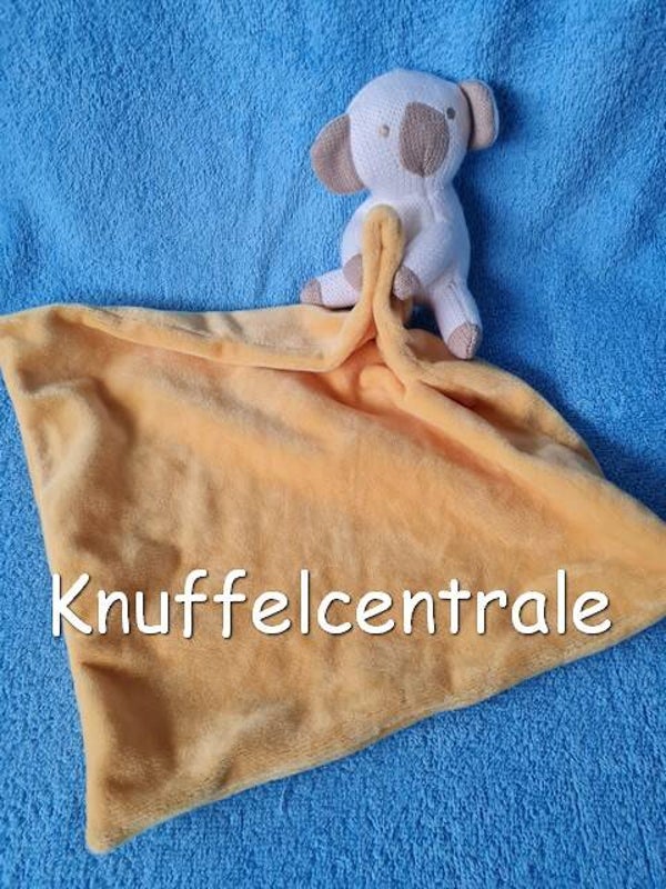 Blokker Koala beer met knuffeldoek