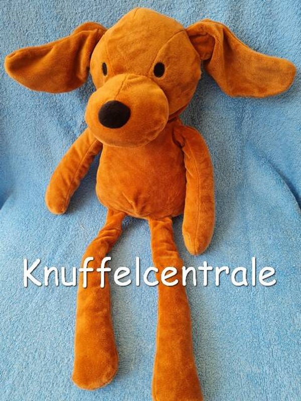 Hema hond 50 cm met klittenband