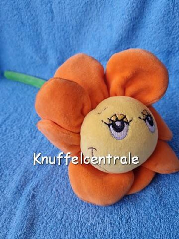 Happy Horse Bloem 2008 Oranje Happy Flower