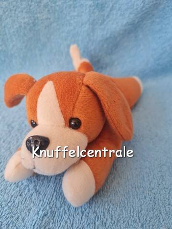 Happy Tails hond oranjebruin wit Edison