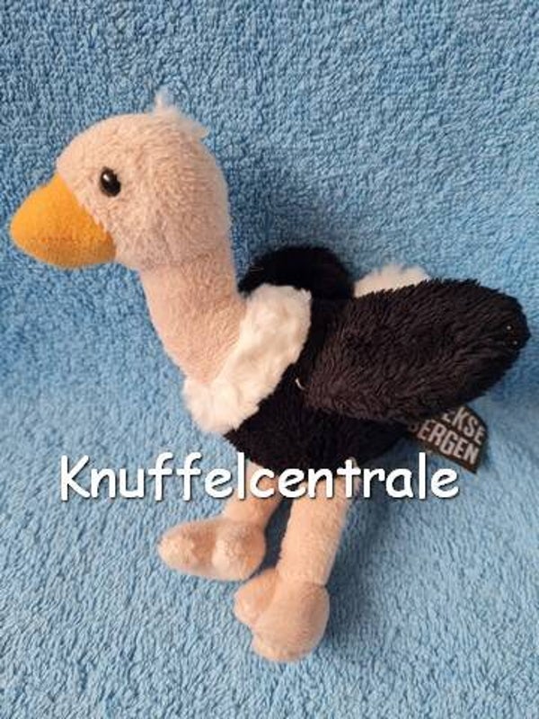 Beekse Bergen Ravensden struisvogel 19 cm