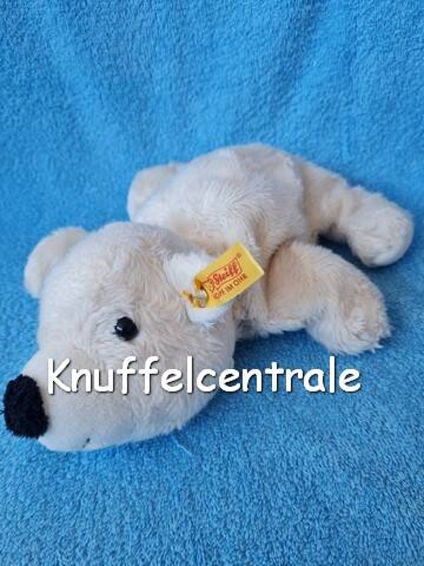 Steiff beer Polar bear Knopf im Ohr 081842 liggend