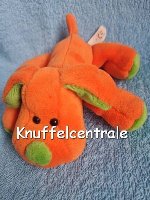 Hema hond oranje groen als Stanley