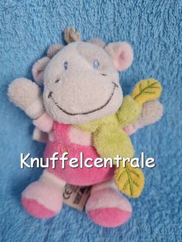 Nicotoy koe roze tuinpak 13 cm