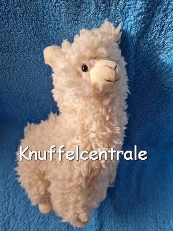 PIA alpaca wit