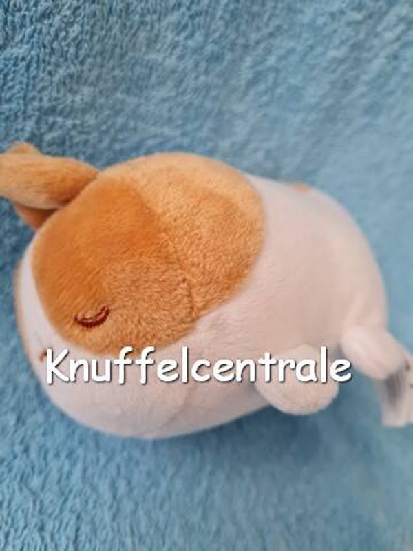 Tomy Molang knuffel