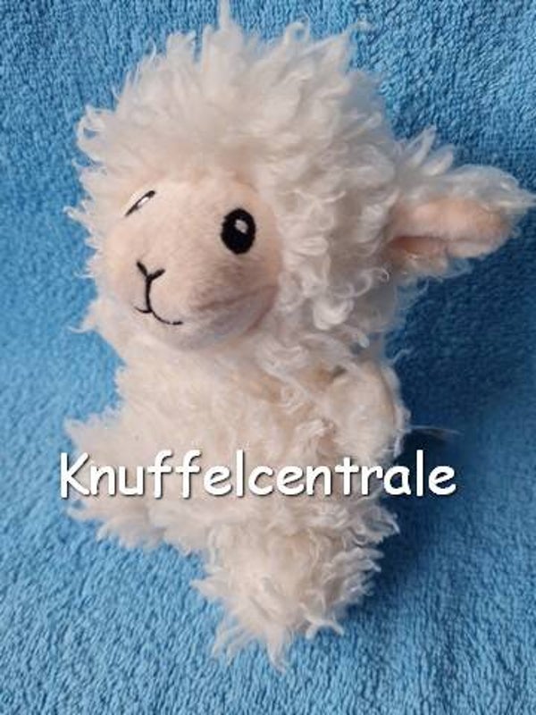 Toys schaap wit Take me home 17 cm knuffel