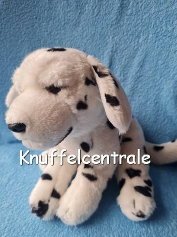 Anna Club Plush hond Dalmatiër
