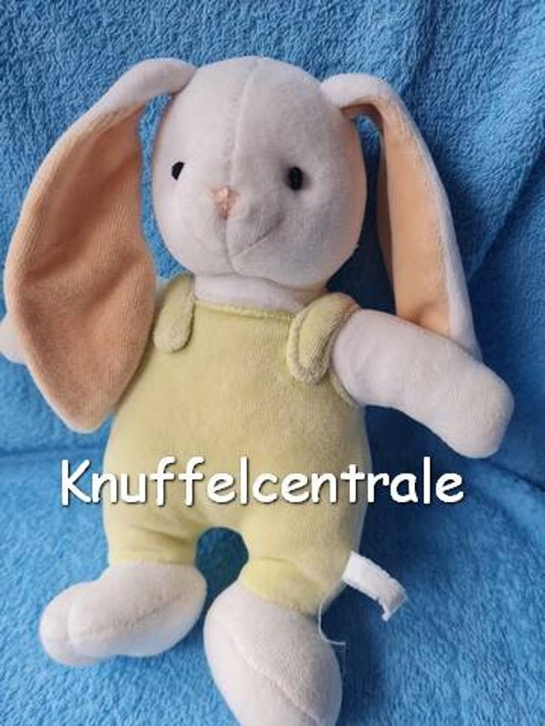 Felicitas konijn Kiddo Floor met groen tuinbroekje (versleten label)