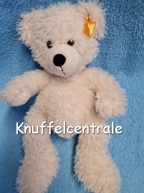 Steiff beer Lotte wit bear Knopf im Ohr 111563