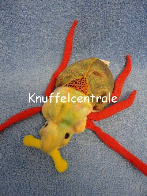 TY kever tor 2000 Beanie baby Scurry beetle