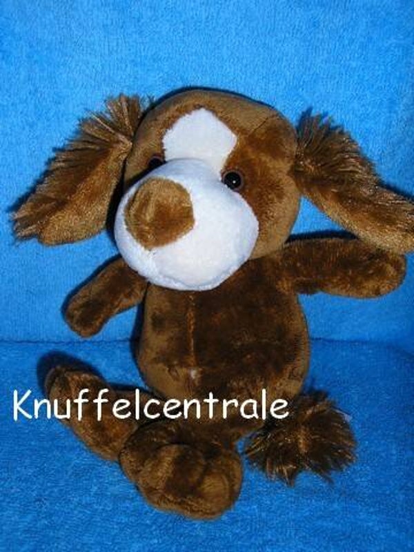 Evora hond Kruidvat knuffel * Nieuw
