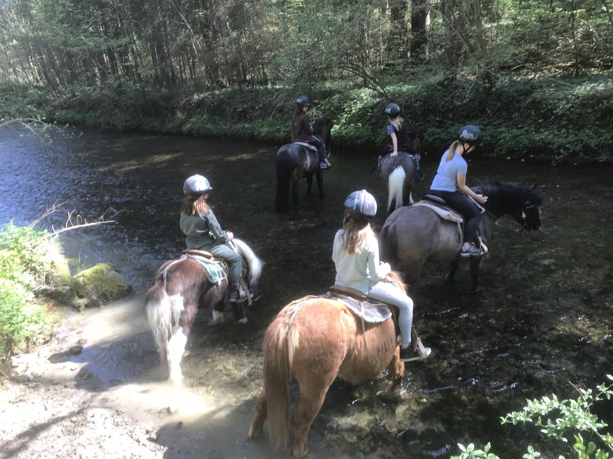 Pony Ranch Die Ranch | TEXAS-PONY-RANCH