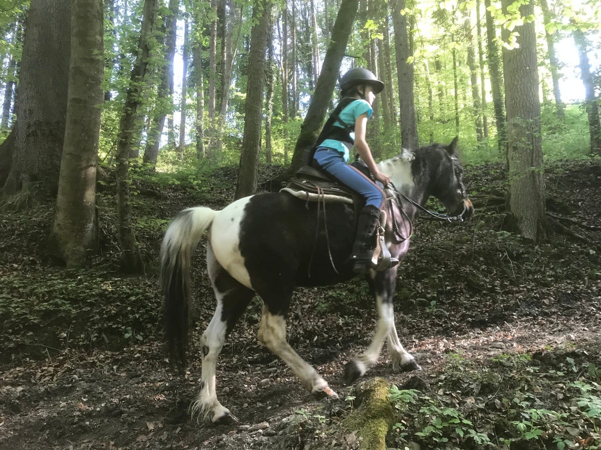 Pony Ranch Reitstunden | TEXAS-PONY-RANCH