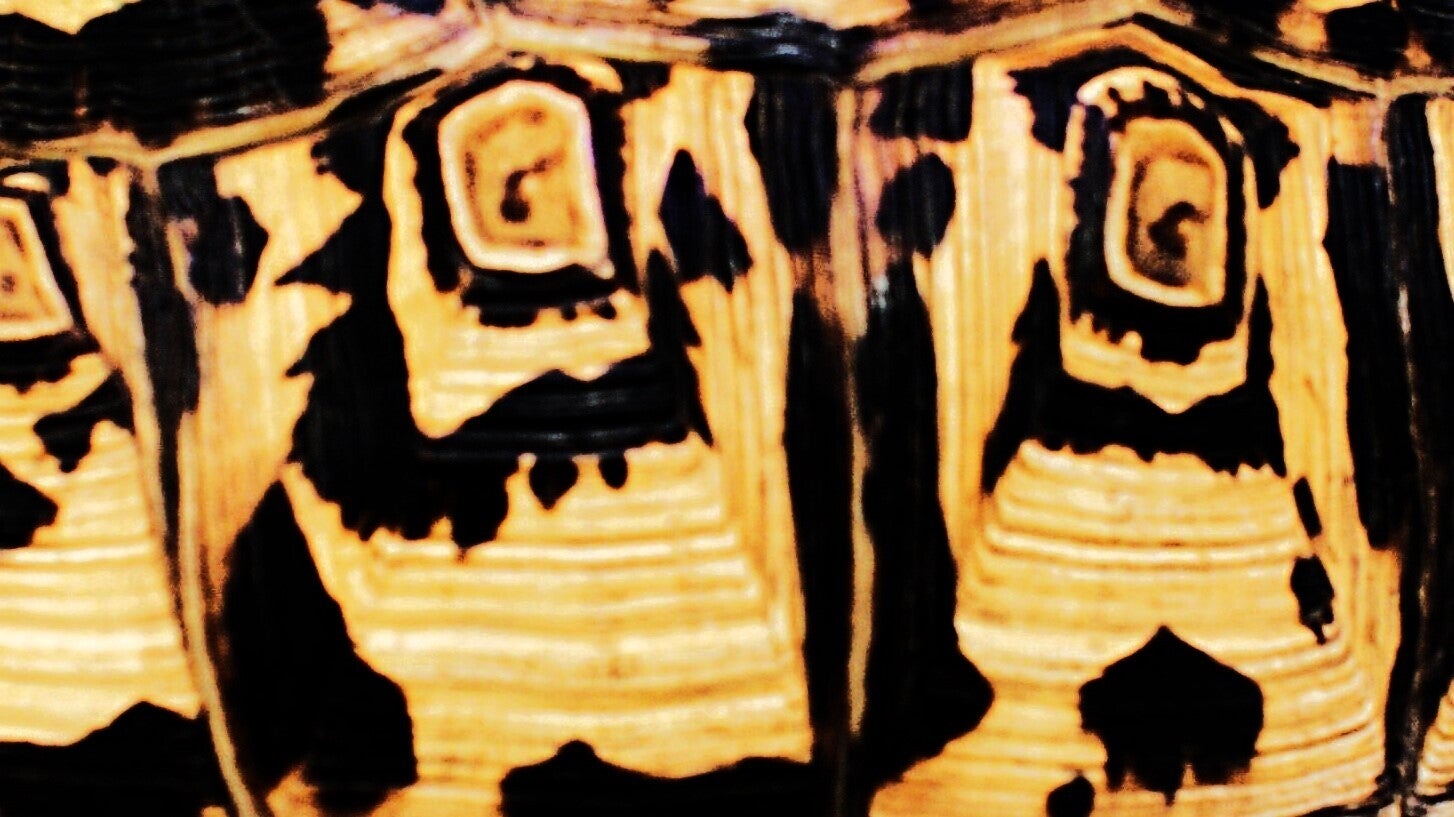 scratch-close-up-standard.jpg