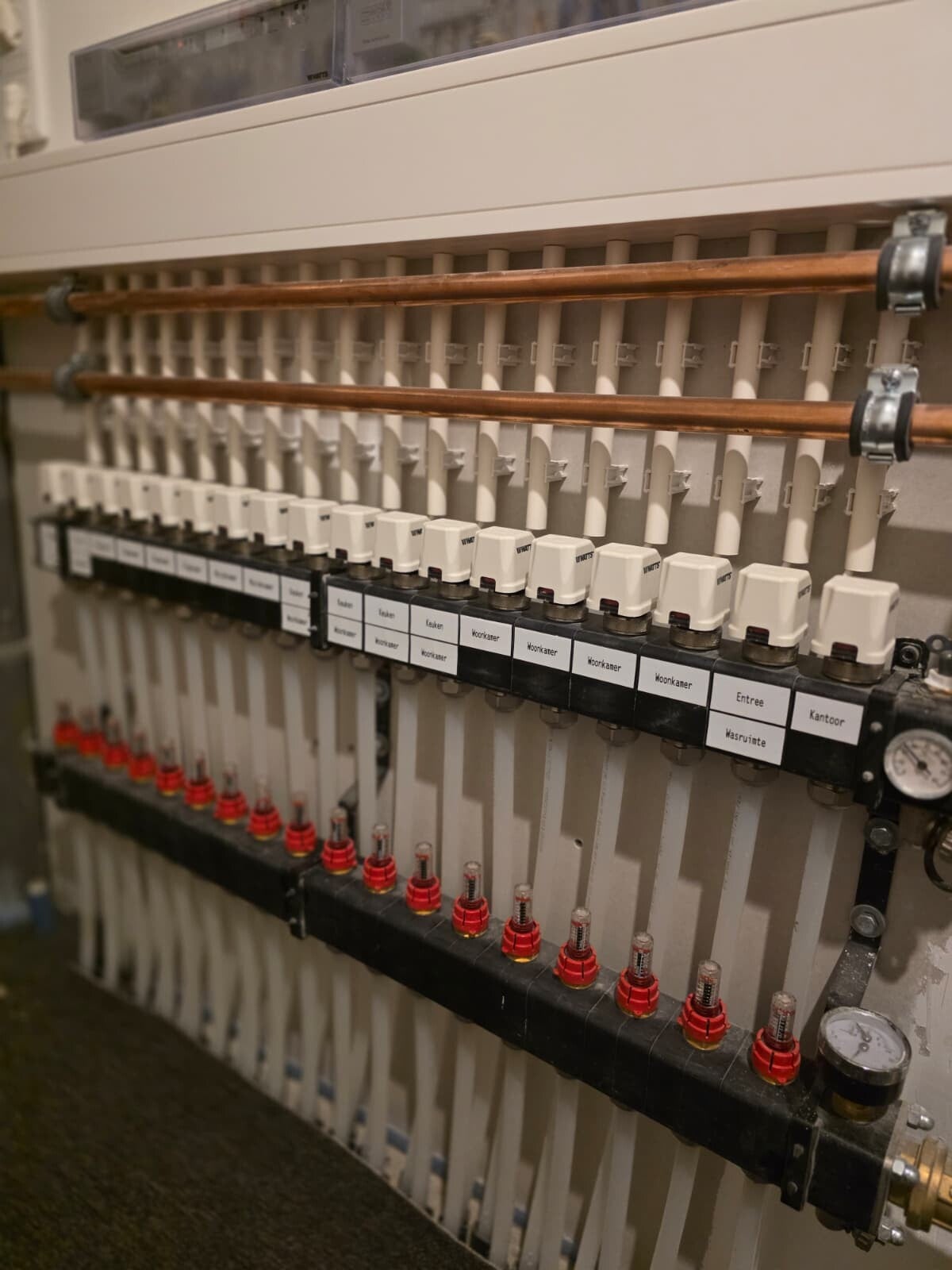 image-standard-r5ht04.jpg