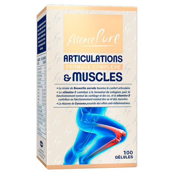 ARTICULATIONS & MUSCLES
