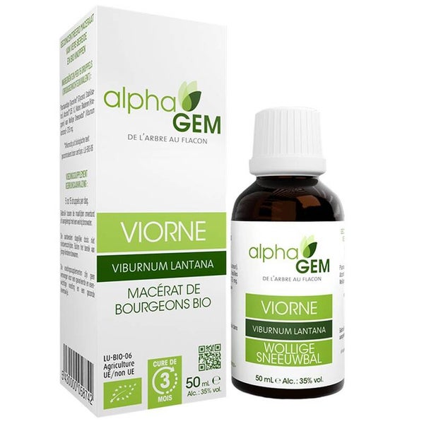 GEMMO VIORNE