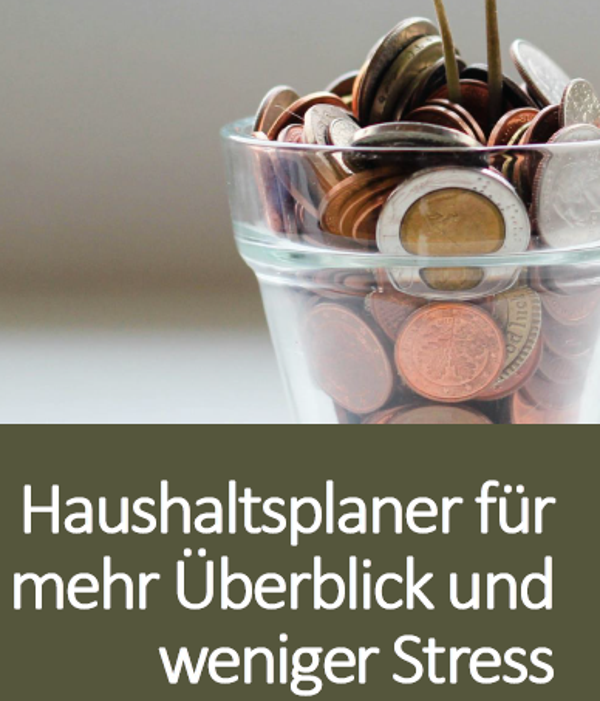 Digitaler Haushaltsplaner Budget-Planer inkl. Versicherungen und Sparplan